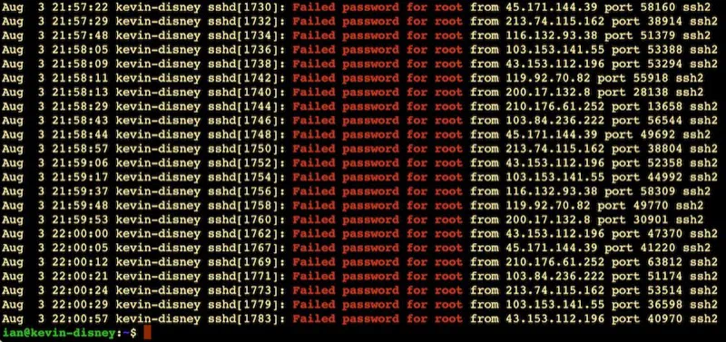 Screenshot of terminal output full of lines saying &ldquo;Failed password for root&rdquo;