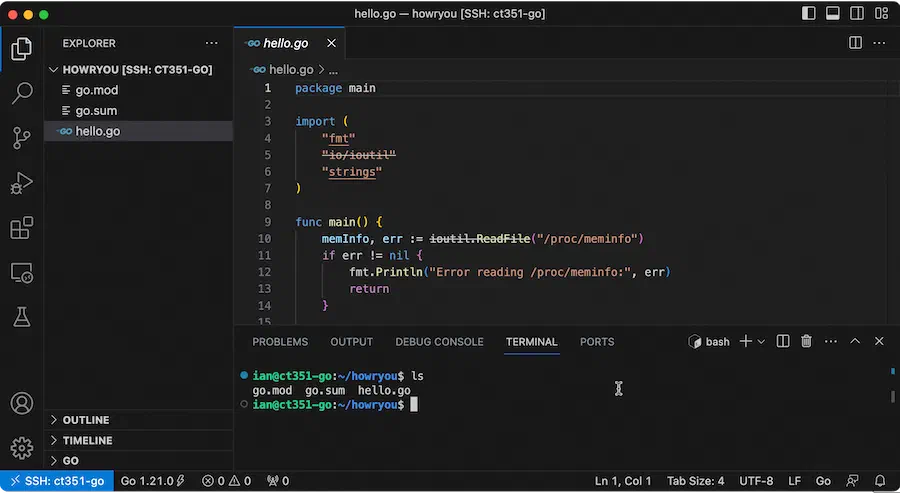 VS Code connected to a remote server over SSH